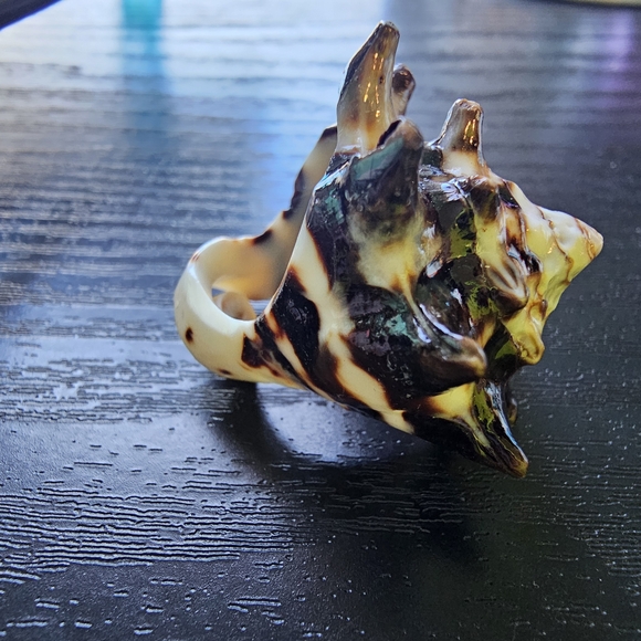 Carved Natural Shell Ring Brown and Cream Women's Appx Size 7 - Picture 7 of 9